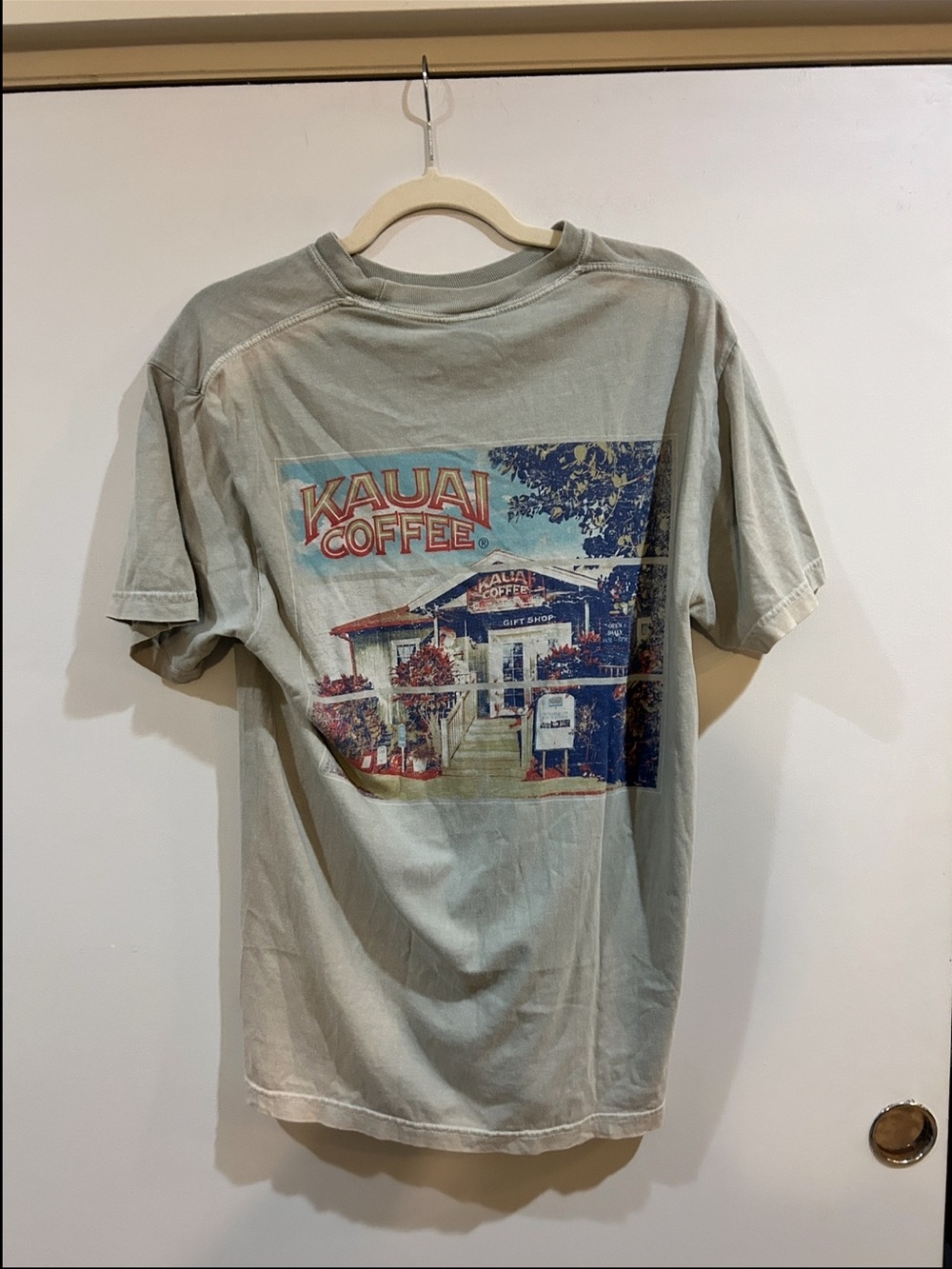Vintage Comfort Colors Kauai Coffee Graphic Tee in Light Sage